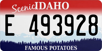 ID license plate E493928