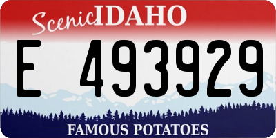 ID license plate E493929