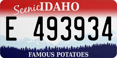 ID license plate E493934