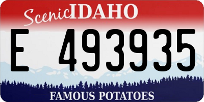 ID license plate E493935