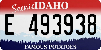 ID license plate E493938