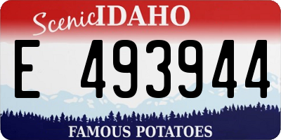 ID license plate E493944