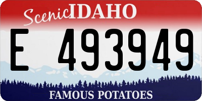 ID license plate E493949