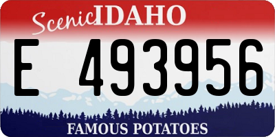 ID license plate E493956