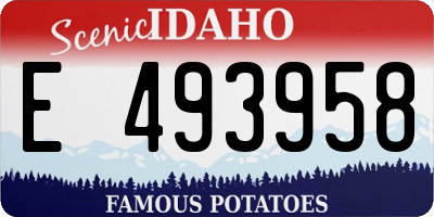 ID license plate E493958