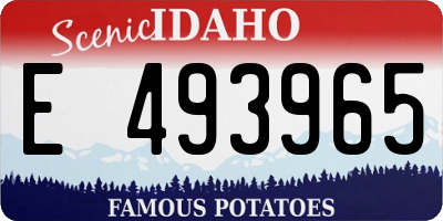 ID license plate E493965