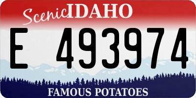 ID license plate E493974