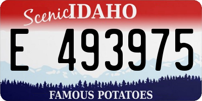ID license plate E493975