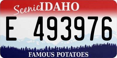 ID license plate E493976