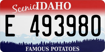 ID license plate E493980