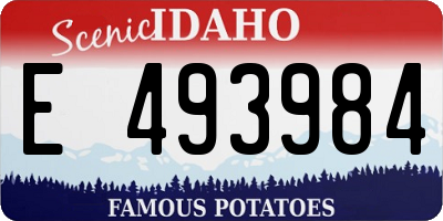 ID license plate E493984