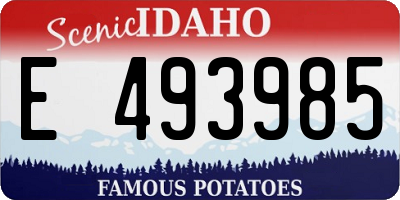 ID license plate E493985