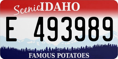 ID license plate E493989