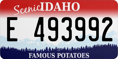 ID license plate E493992