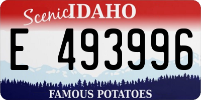 ID license plate E493996