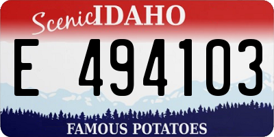 ID license plate E494103