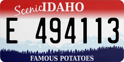 ID license plate E494113