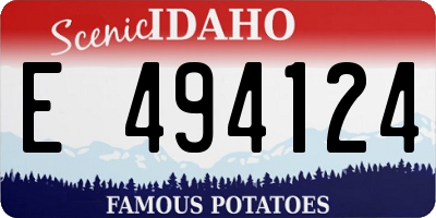ID license plate E494124