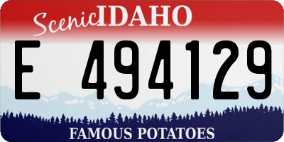 ID license plate E494129