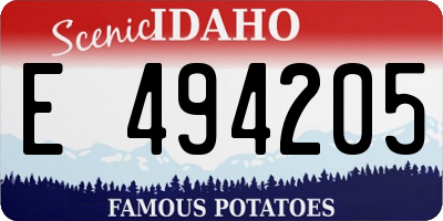 ID license plate E494205