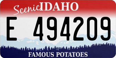 ID license plate E494209