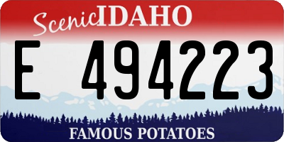 ID license plate E494223