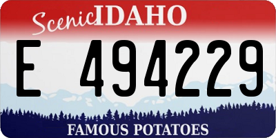 ID license plate E494229