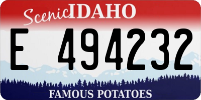 ID license plate E494232