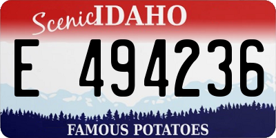 ID license plate E494236