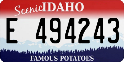 ID license plate E494243