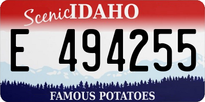 ID license plate E494255
