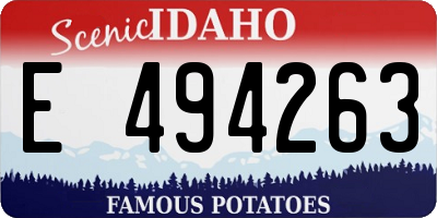 ID license plate E494263