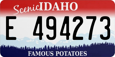 ID license plate E494273