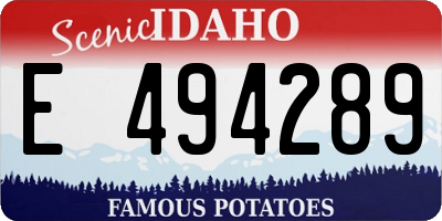 ID license plate E494289