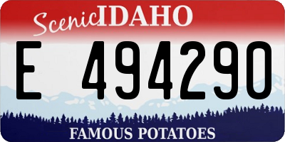 ID license plate E494290