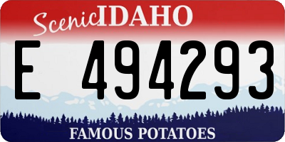 ID license plate E494293