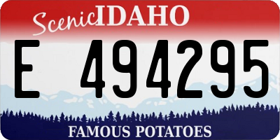 ID license plate E494295