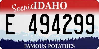 ID license plate E494299