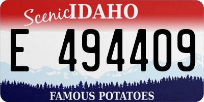 ID license plate E494409