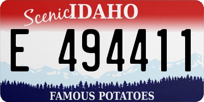 ID license plate E494411