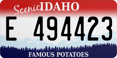 ID license plate E494423