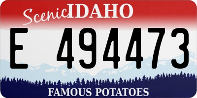 ID license plate E494473