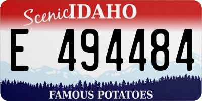 ID license plate E494484