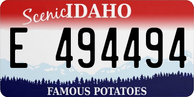 ID license plate E494494