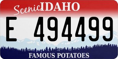 ID license plate E494499