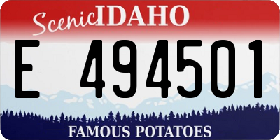 ID license plate E494501