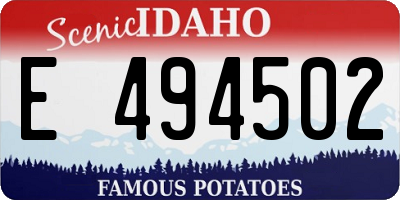 ID license plate E494502