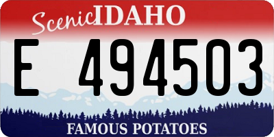 ID license plate E494503