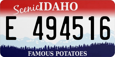 ID license plate E494516