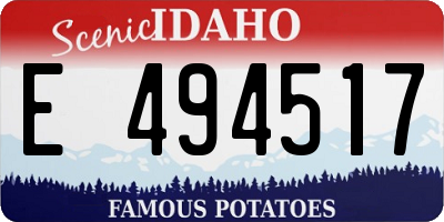 ID license plate E494517